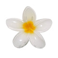 Barrette à cheveux en forme de fleur Tixcon