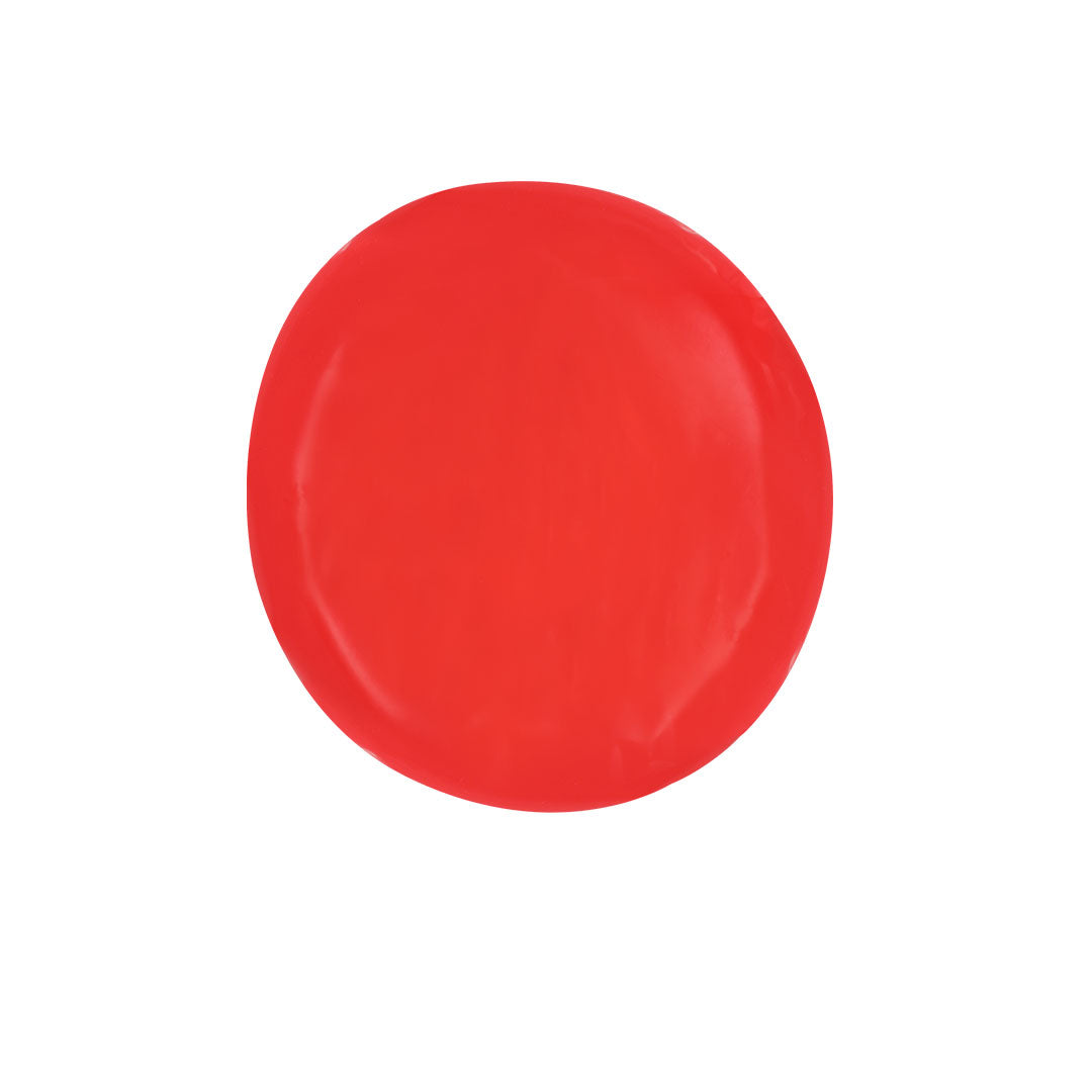 Disque volant coussin Zalox