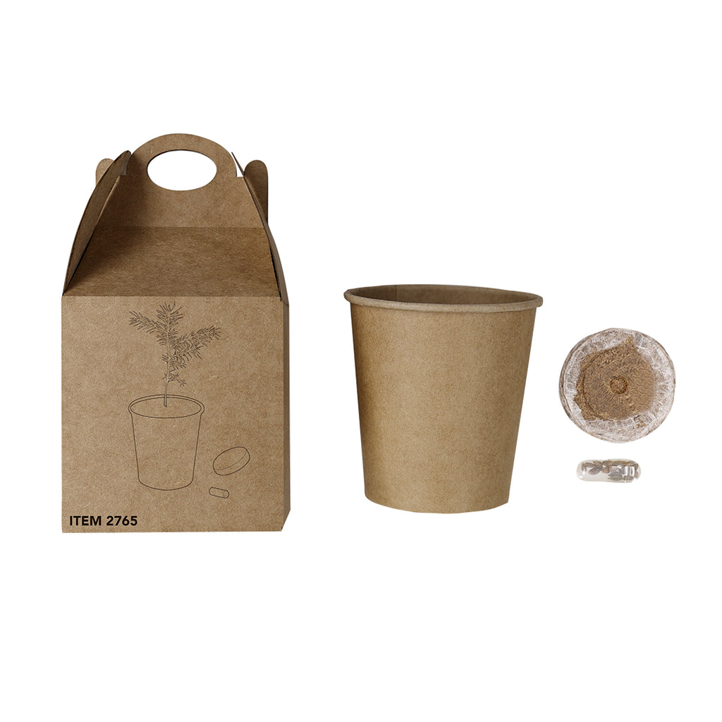 Pot de semences de pin. Substrat, pot en carton recyclé et graines de pin Vencor